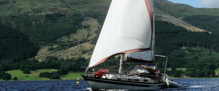 Musters are back! Ardgour Muster – Summer 2024